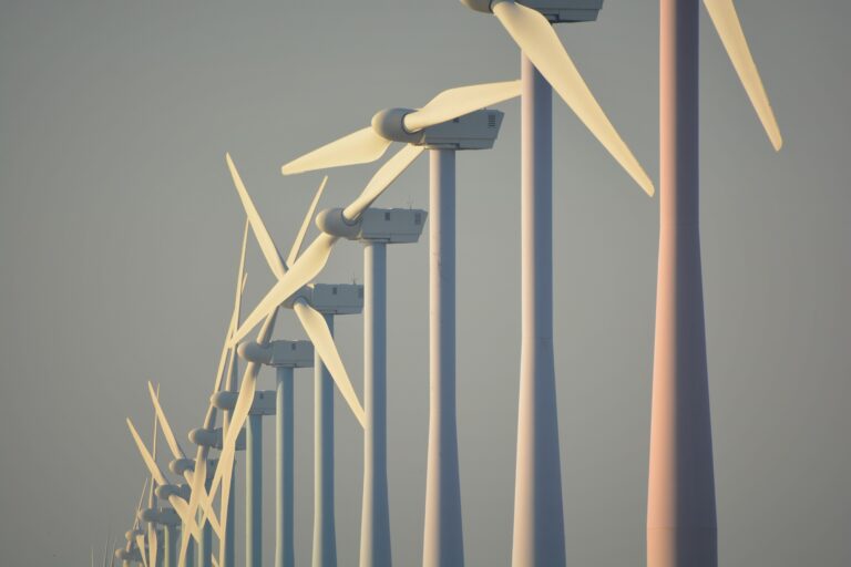molinos de viento