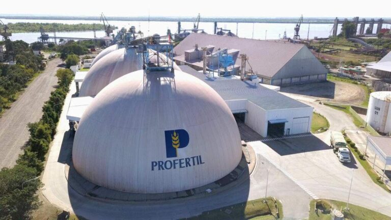 La imagen muestra en primer plano dos grandes estructuras de almacenamiento con forma de c?pula, con el logo de la empresa en la parte frontal. Al fondo, se puede observar parte del complejo industrial, que incluye otras edificaciones y estructuras relacionadas con el proceso de producción. Tambi?n se aprecian grúas y equipos de carga cerca de una zona portuaria.