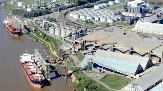 Molinos Agro se quedó con uno de los últimos predios portuarios en el norte del gran Rosario