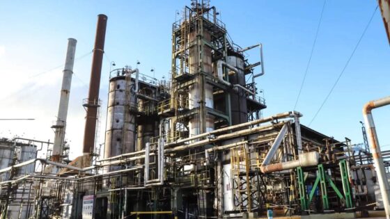 Refinería de Raizen en Dock Sud, con estructuras metálicas, tanques, tuberías y chimeneas visibles al aire libre. Imagen tomada durante el día con cielo despejado.