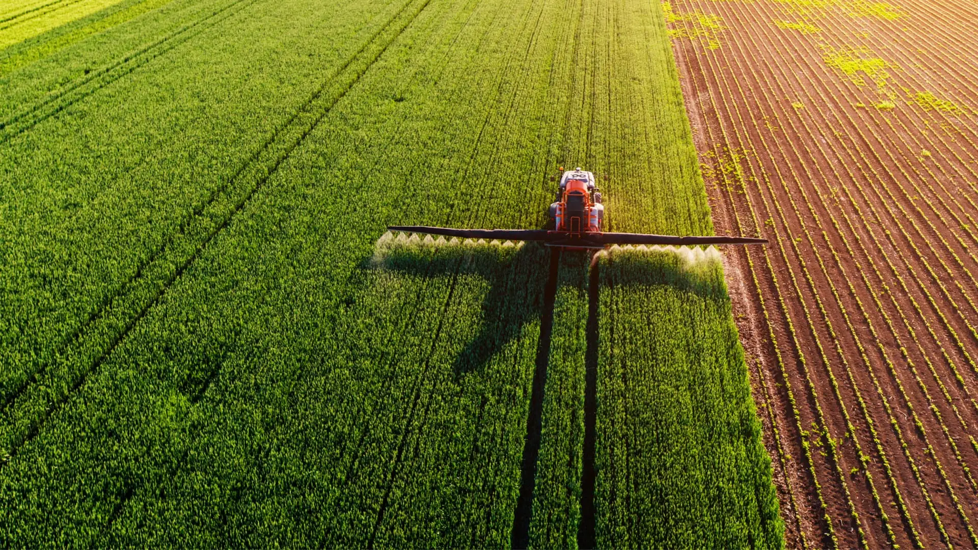Maquinaria agrícola pulverizando cultivos en un campo visto desde arriba.