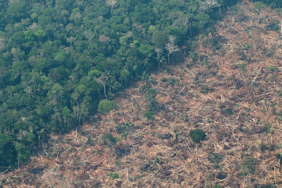 Vista aérea que muestra el contraste entre un bosque denso y un área deforestada, con árboles talados y suelo degradado.