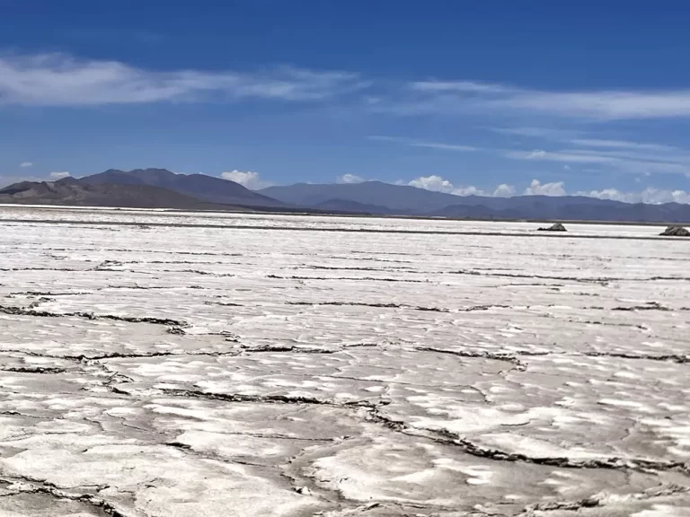 Extensa superficie de un salar con costras de sal agrietadas, rodeado de montañas bajo cielo despejado.