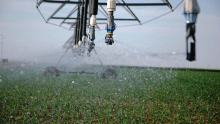 Sistema de riego por aspersión de pivote central irrigando un cultivo agrícola en un campo de producción.