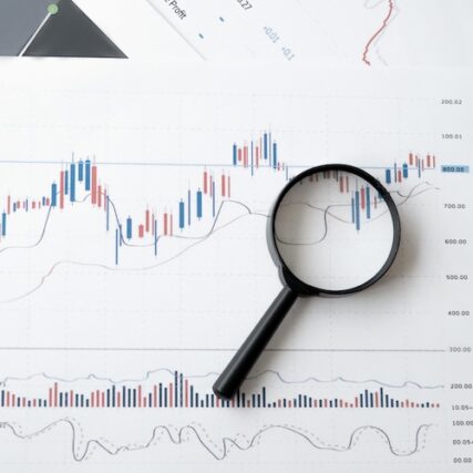 RELEVAMIENTO DE MERCADO, CAPACIDAD OPERATIVA Y EXPORTACIÓN.