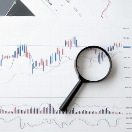 RELEVAMIENTO DE MERCADO, CAPACIDAD OPERATIVA Y EXPORTACIÓN.